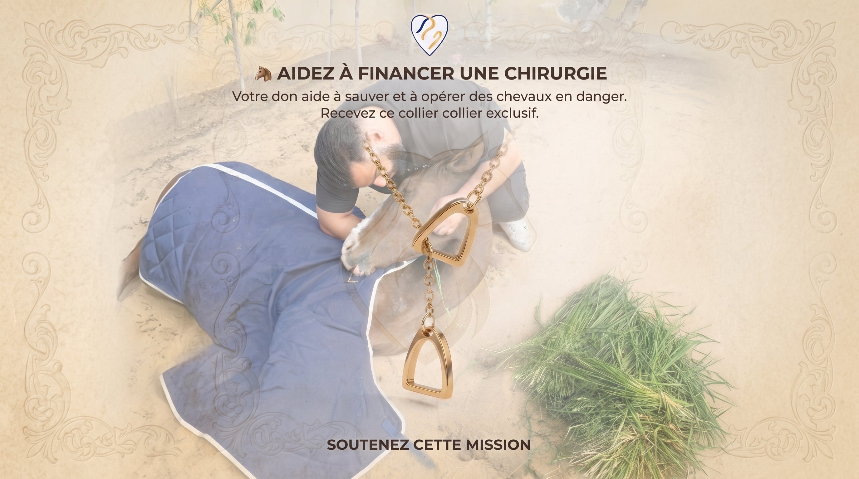 Aidez Ali à financer les chirurgies d'urgence et les soins vitaux pour les chevaux rescapés du refuge !